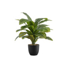 Monarch Specialties 17" Artificial Indoor Dracaena - Table - Black Pot-Add some greenery to your home with this 17" Tall Artificial Dracaena plant embedded in a 4" black pot