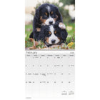 DateWorks 2026 16-Month Mini Wall Calendar - 7" x 7" - Puppies - English-Animals