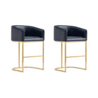 Manhattan Comfort Louvre 20" Mid-Century Modern Leatherette Upholstered Counter Stool - Black and Titanium Gold - 2 Pack-Mid-Century Modern Counter Stool with Backrest Perfect for Bar and Kitchen Use