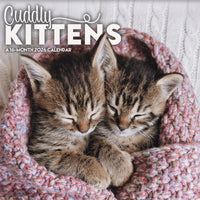 DateWorks 2026 16-Month Wall Calendar - 12" x 12" - Cuddly Kittens - English-12.00" x 12.00"