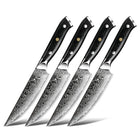Minimal 4-Pieces Damascus Black G10 Steak Knife Set, Service for 4-Forged 67-layer Damascus steel with the VG10 steal core