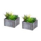 Monarch Specialties 9370 8" Tall Artificial Succulents - Grey Wooden Pots - Set of 2-This set of 2 artificial plants features 8" tall artificial succulents designed to add a refined decorative touch to any table, shelf, or surface