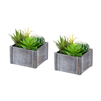 Monarch Specialties 9370 8" Tall Artificial Succulents - Grey Wooden Pots - Set of 2-This set of 2 artificial plants features 8" tall artificial succulents designed to add a refined decorative touch to any table, shelf, or surface