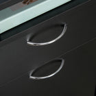 HOMCOM Vertical Filing Cabinet with Drawer Wheels - Black-The compact file cabinet is suit for home, office and more
