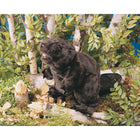 Folkmanis Beaver Puppet-Recommended ages 3 and up