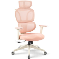 MotionGrey Mellow Ergonomic Office Chair - High Mesh Back Support with Adjustable Armrests - Pink-Comfort Reimagined - MotionGrey’s office chair is meticulously designed with your comfort as the priority. Each component is strategically placed to enhance the overall seating experience, aiming to redefine and elevate your notion of comfort in a workspace environment