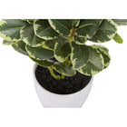 Monarch Specialties 14" Artificial Indoor Ficus - Table - White Pots - Set of 2-Product dimensions: 9 in. L x 10 in. W x 14 in. H (each plant)