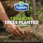 Royale Tiger Strong Paper Towel - 24 Pack-7