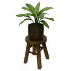 My Home My Living Rustic Wood Plant Stand - 8"Dia. x 10.75"H - Brown-Weight capacity: 7 lbs 
