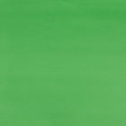 JAM Paper Matte Wrapping Paper - 17" x 18' - Matte Lime Green - 2 Pack-This Wrapping Paper is perfect for adding a splash of colour to all your gifts. Great for Birthdays, Holidays, Parties, Showers, Weddings, Events, and any of your other gifting needs.