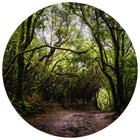 TickiT Forest Discovery Play Mat-Fascinating visual stimulation: This playmat features a detailed image of a woodland path. Give children a colorful, stimulating background for open-ended play