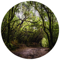 TickiT Forest Discovery Play Mat-Fascinating visual stimulation: This playmat features a detailed image of a woodland path. Give children a colorful, stimulating background for open-ended play