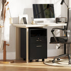 Vinsetto 2-Drawer Letter/A4 Filing Cabinet with Lock - Black-Colour: Black
