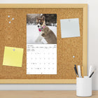DateWorks 2026 16-Month Mini Wall Calendar - 7" x 7" - Puppies - English-Features monthly pages for January to December 2026, as well as the last 4 months of 2025