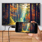 Staples Tech USB-C to Displayport - 6 ft-4K @ 60Hz or 1440p at 144Hz: Stunning 4K at 60Hz or 1440p at 144Hz for smooth visuals