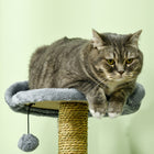 PawHut 54" Condo Tower Cat Tree with Hammock, Scratching Post - Grey-Multi-level design fulfills your pet's nature to climb 