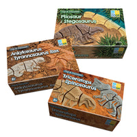 Yellow Door Dig and Discover - Dinosaur Pack-Crafted from a durable stone mix, children will love unearthing these fossils from sand or soil and piecing them together, developing observation, spatial reasoning and critical thinking skills.