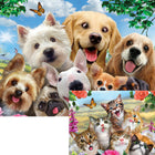 Howard Robinson Dog & Cat Selfie - 100 Pieces-6
