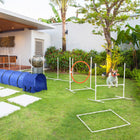 PawHut Dog Agility Training Equipment 5-Piece Set-Exercise and train your puppy/dog simultaneously 