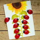 Yellow Door Ladybugs Early Number Card 16-Piece Set-Lets children sort on lots of different criteria