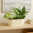 My Home My Living Oval Tin Containers 3-Piece Set - 10.5”W x 5.5”D x 4.75”H - Cream-Conveniently nestable to save space