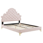 Modway Gwyneth Tufted Performance Velvet Queen Platform Bed with Gold Metal Legs - Pink-Queen Platform Bed