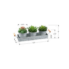 Monarch Specialties 9372 6" Tall Artificial Succulents - Silver Metal Pots - Set of 3-Made with environmentally friendly materials, this plant set serves as a stylish accent for the home or office. 5 year limited warranty included. for indoor use only