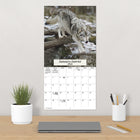 DateWorks 2026 16-Month Wall Calendar - 12" x 12" - Wolves - Bilingual-Features monthly pages for January to December 2026, as well as the last 4 months of 2025
