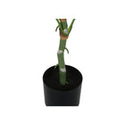 Monarch Specialties 54" Artificial Indoor Dieffenbachia Tree - Floor - Black Pot-No assembly required: product dimensions: 27 in. L x 26 in. W x 54 in. H
