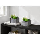 Monarch Specialties 9370 8" Tall Artificial Succulents - Grey Wooden Pots - Set of 2-Made with environmentally friendly materials, this artificial plant set offers a sustainable décor solution that works as an accent for the home or office