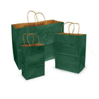 Eddie's 100% Recycled Kraft Shopper Paper Bag - 16" L x 6" W x 12" D - Forest Green - 250 Pack-100% recycled with at least 95% post-consumer fibres.