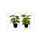Monarch Specialties 13" Artificial Indoor Epipremnum - Table - Black Pots - Set of 2-These easy-care table plants are made from the highest quality materials and require no maintenance or watering, for a sustainable, environmentally friendly decorative accents that will last a lifetime