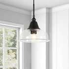Hudson&Canal Magnolia 10.75" Wide Pendant with Glass Shade - Blackened Bronze/Seeded-Clean with a soft, dry cloth and no harsh chemicals or abrasive cleaning materials