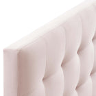 Modway Lily Biscuit Tufted Performance Velvet Queen Headboard - Pink-Dense Foam Padding