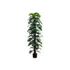 Monarch Specialties 83" Artificial Indoor Monstera Tree - Floor - Black Pot-Freshen up your space with our 83" tall monstera tree artificial plant with a realistic look and feel