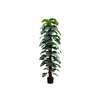 Monarch Specialties 83" Artificial Indoor Monstera Tree - Floor - Black Pot-Freshen up your space with our 83" tall monstera tree artificial plant with a realistic look and feel
