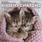 DateWorks 2026 16-Month Wall Calendar - 12" x 12" - Cuddly Kittens - Bilingual-12.00" x 12.00"