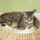PawHut 28" Cat Tree with Scratching Post and Two Beds - Beige-Colour: Beige 