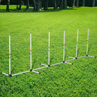 PawHut Adjustable Dog Agility Training Obstacle Set - White-Made of sturdy PE material for superior quality 