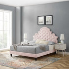 Modway Gwyneth Tufted Performance Velvet Full Platform Bed with Black Wood Legs - Pink-Wood Slat Support System