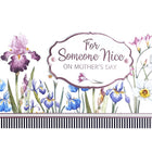 Rosedale Gold Mother's Day Greeting Cards/Envelopes - 5-1/2" x 8" - Someone Nice - 6 Pack-Premium quality greeting cards