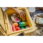RovR CoolR 25 Quart Hard Cooler with Shoulder Strap - Powder-10
