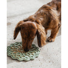 Dexypaws Blooming Blossom Enrichment Lick Mat-4