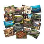 Yellow Door Prehistoric Teeth Explore and Discover Activity Cards 16-Piece Set-Discover magnified, half-buried and actual-size teeth.