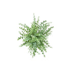 Monarch Specialties 9368 16" Tall Artificial Eucalyptus Grass - White Pots - Set of 2-Each artificial plant is styled in a modern white pot, creating a clean, versatile accent for the home or office