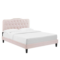 Modway Amber Performance Velvet Queen Platform Bed with Black Wood Legs - Pink-Tufted Queen Platform Bed
