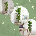 HOMCOM 5' Faux Fiddle Leaf Fig Tree - Green - 2 Pack-A weighted base ensures stability, making it safe for little ones and pets 