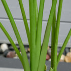 HOMCOM 5' Artificial Banana Tree in Pot for Indoor Outdoor Décor - Green-Low maintenance required 