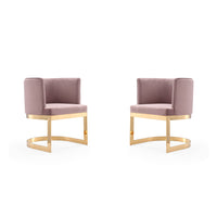 Manhattan Comfort Aura 24.4" Modern Velvet Upholstered Dining Chair - Blush and Polished Brass - Set of 2-Modern Dining Chair Perfect for Dining and Accent Living Room Use. Set of 2