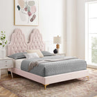 Modway Alexandria Tufted Performance Velvet Twin Platform Bed with Gold Metal Legs - Pink-Stain-Resistant Performance Velvet